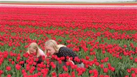 荷蘭（示意圖／PIXABAY）