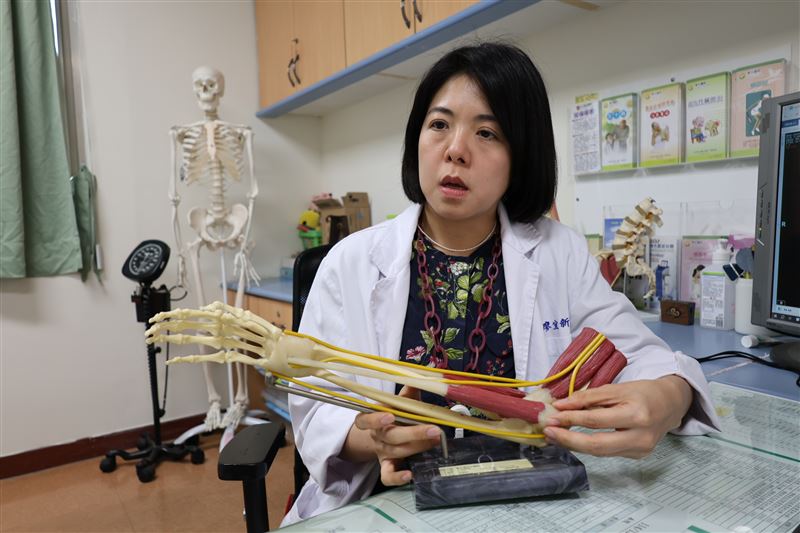 彰化醫院復健科主任廖宜新表示，俗稱高爾夫球肘的醫學名稱為「肱骨內上髁炎」，是一種常見的肌腱病變，發生於手肘內側。（圖／衛福部彰化醫院提供）