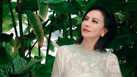 田麗近期在古裝劇《逐玉》現身，讓不少人驚嘆她的凍齡狀態。（圖/田麗工作室提供）