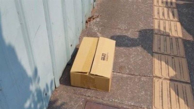 小黃狗被飼主棄屍在人行道路邊。（圖／翻攝畫面）