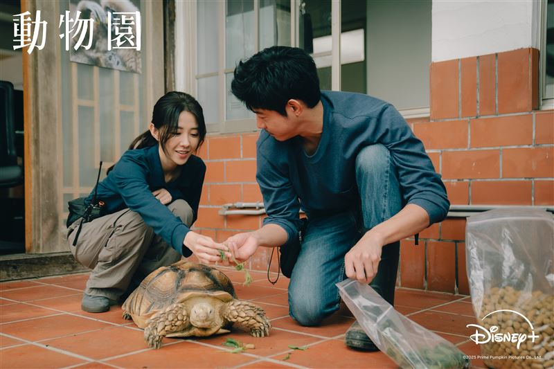 王柏傑、邵雨薇在解決動物園營運危機與突發狀況的過程中日久生情。（圖／Disney+提供）