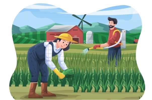 插秧作業。（圖／CANVA製作）