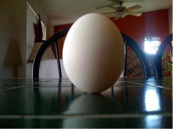 立蛋。（圖／三立新聞網）