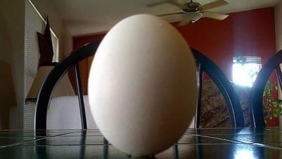 調整身心黃金期 「春分」立蛋迎好兆頭