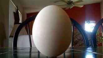 ▲立蛋。（圖／三立新聞網）