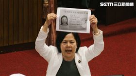 民眾黨團提案譴責李柏毅、劉世芳，李貞秀舉台胞證（圖／記者楊士誼攝影）