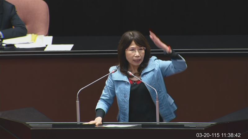 綠委喊一邊一國　陳昭姿爆氣：你們不配