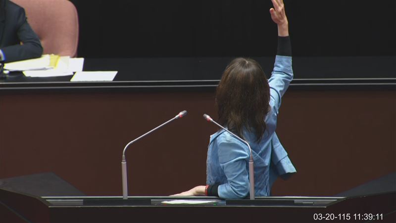 陳昭姿嗆，有本事宣布一邊一國，結果聽到綠委喊一邊一國又爆氣，轉頭找韓國瑜要求時間暫停（圖／翻攝畫面）