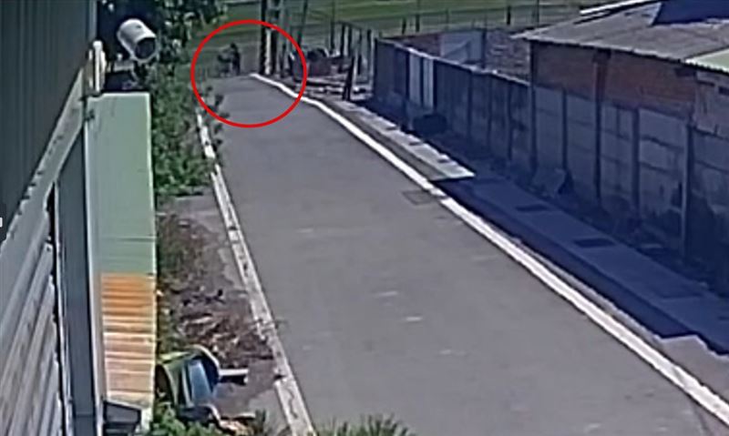 阿嬤忍痛趕緊離開農田，牽腳踏車走回家，其中一隻惡犬還緊跟在後。(圖／翻攝畫面)