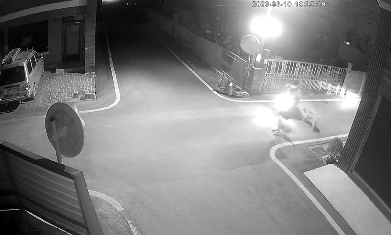 3隻惡犬曾在深夜襲擊經過的機車騎士。(圖／翻攝畫面)
