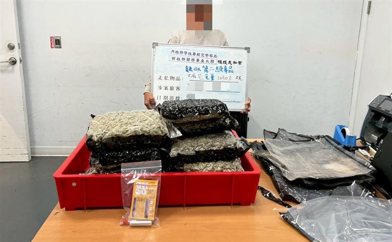 馬來西亞籍田姓男子，幫陌生男子攜帶大麻入境台灣，當場被逮捕。（圖／翻攝畫面）