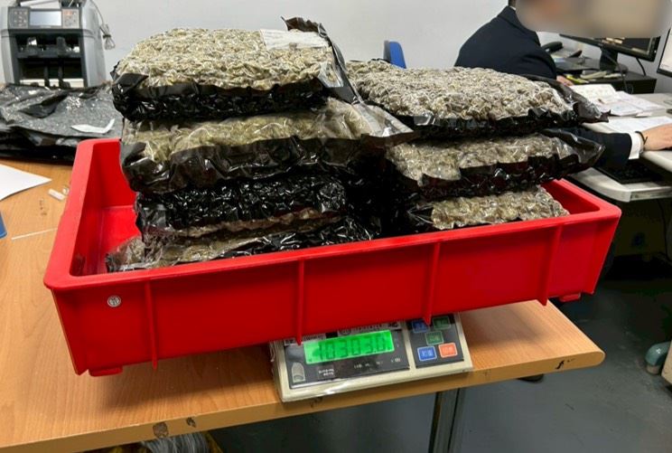 10.3公斤的大麻，市價約2000萬元。（圖／翻攝畫面）