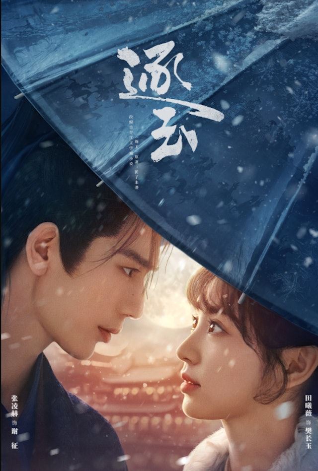 陸劇《逐玉》已連續13天穩坐Netflix台灣熱門日榜冠軍。（圖／翻攝自《逐玉》微博）