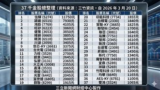 高價排行／下檔萬元股　是「它」？