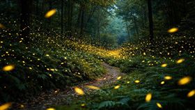 螢火蟲。（圖／AI製圖）