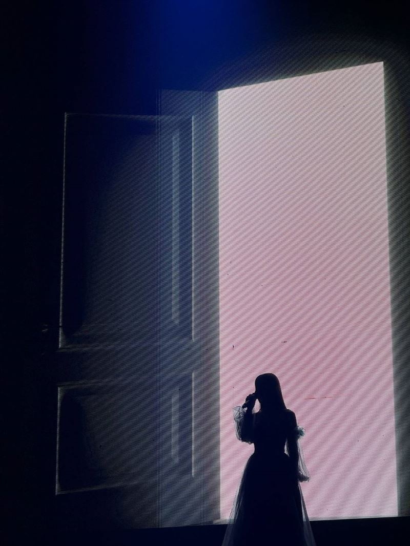 嘉賓鍾綺以一身紫羅蘭低胸禮服亮相,與楊烈合唱。(圖/印太戰略智庫提供)