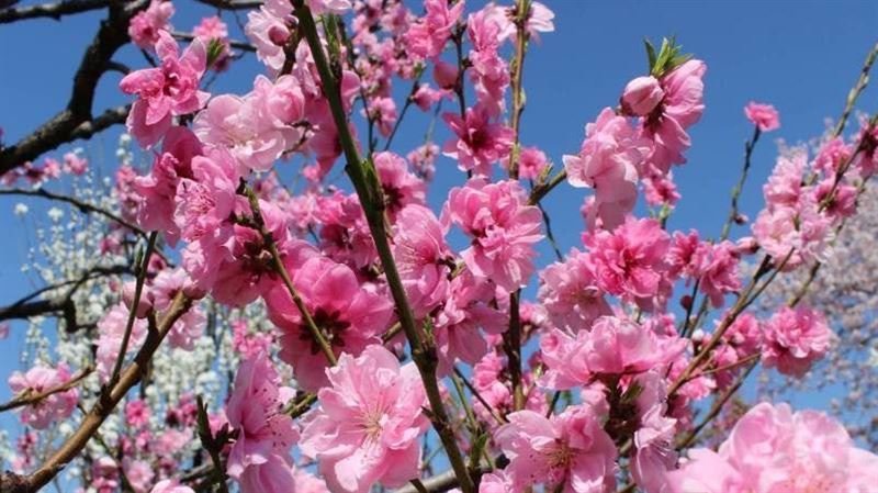 12星座一週運勢出爐 這星座現實中遇拉扯