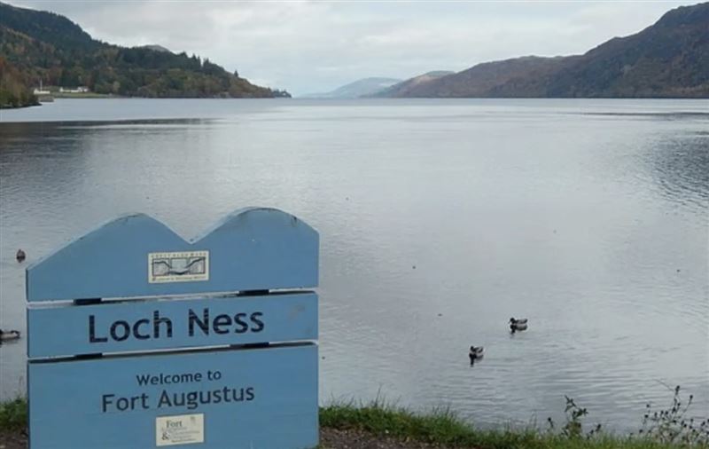 ��˹��ˮ�ֲ�ֻһֻ  ר��30�����Ҿ��˽���