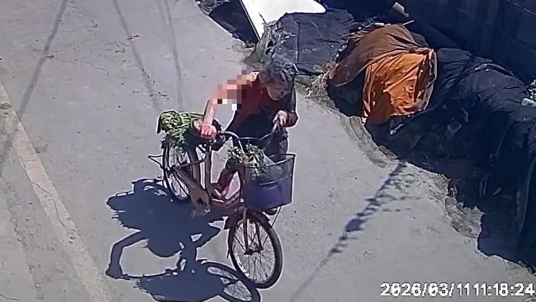 3惡犬瘋咬76歲嬤縫200針險死!飼主找到了