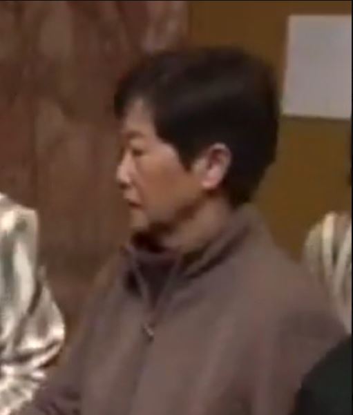 高速行駛撞進人行道，撞死Diego一家的80歲女子劉美芳（音譯）。（圖／@henrykleeKTVU）