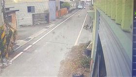 8旬嬤下田，遭3惡犬攻，全身200傷口，驚恐還原，遭攻擊撲咬：爬起來已經不像人，埤頭(圖／翻攝畫面)