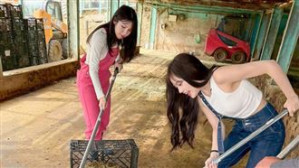 上山與羊屎搏鬥　廉世彬變「最美鏟屎官」