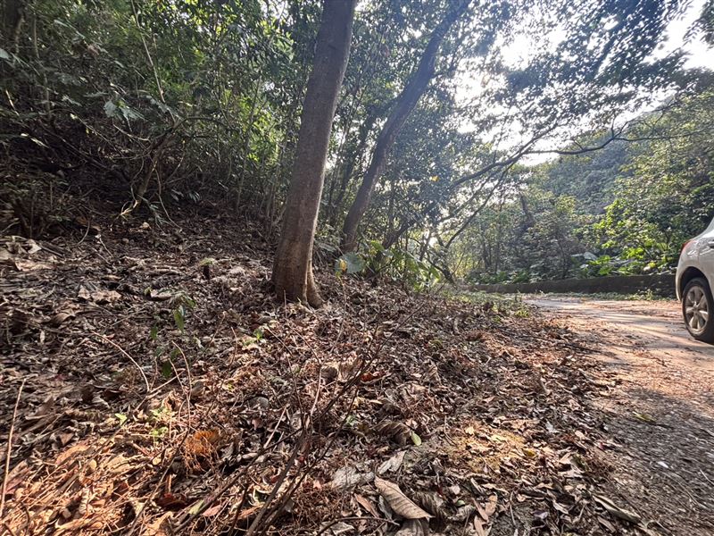 男子疑似遭黑吃黑凌虐致死後,被棄屍在山區。(示意圖/翻攝畫面)