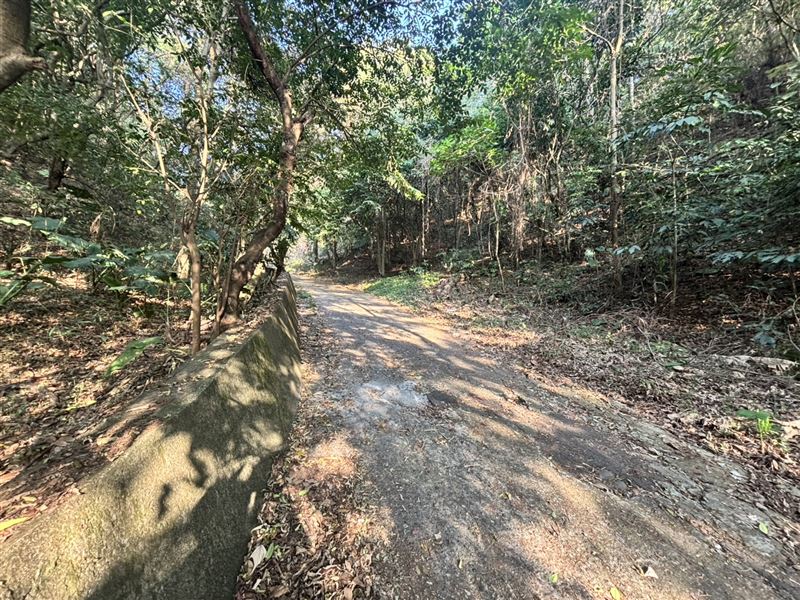 男子疑似遭黑吃黑,雙眼被挖空、臉皮被削去。(示意圖/翻攝畫面)