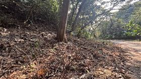 彰化,百果山,雙眼,挖空,臉皮,削去,毒品,黑吃黑（圖／翻攝畫面）