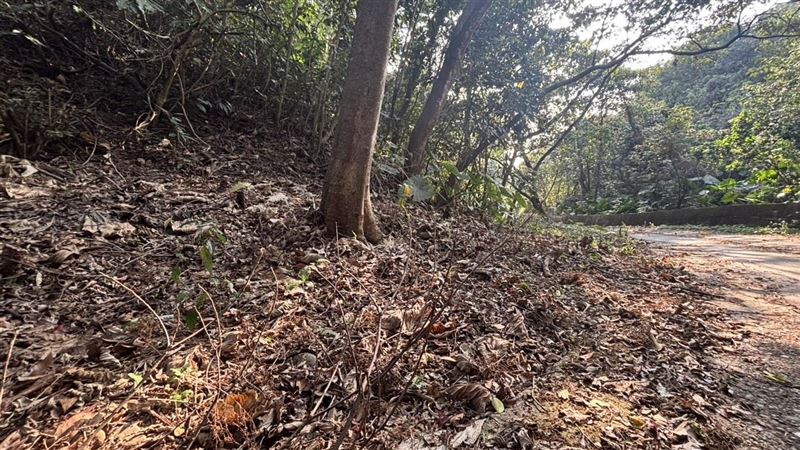 新/男疑遭黑吃黑挖眼棄屍!2嫌羈押禁見