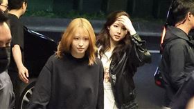 TWICE。（圖／記者鄭孟晃攝影）