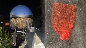 蜂巢,安全帽,台南,捕蜂人,金華路