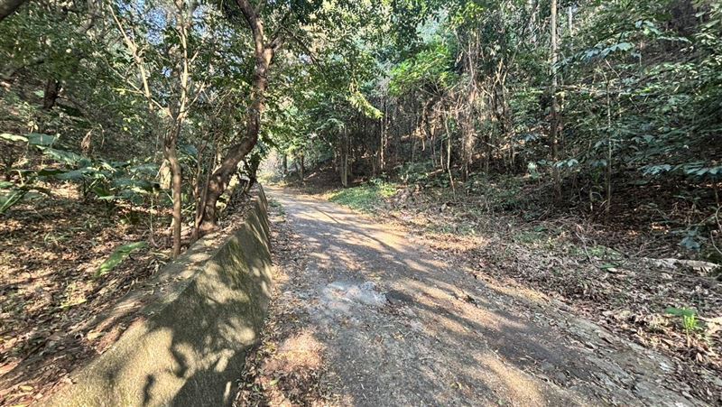 「雙眼挖空、臉皮遭削」百果山男屍身分曝