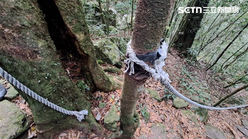 鳶嘴山「救命繩」遭割斷,山友面臨攀峭壁無繩可抓的危險狀況。(圖/翻攝畫面)