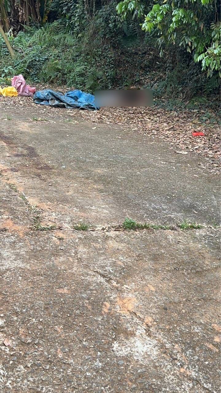 湯姓男子遭人削掉臉皮、挖去雙眼,曝屍在百果山山區,死狀十分悽慘。(圖/翻攝畫面)