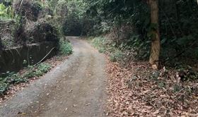 彰化，百果山，駭人命案，削臉，挖眼，不滿死者餵毒，外甥，私刑，虐殺，棄屍，湯男，山區(圖／翻攝畫面)