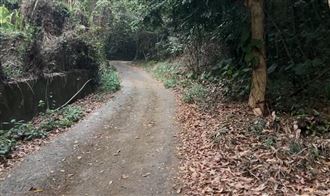 挖眼案再驚爆餵毒再硬上「死者臉被狗咬」