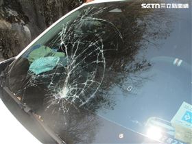 谷關大樹從天降砸車　1車3人驚險逃生(圖/翻攝畫面)