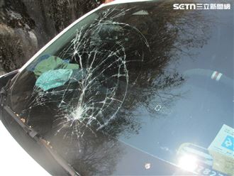 谷關大樹從天降砸車　1車3人驚險逃生