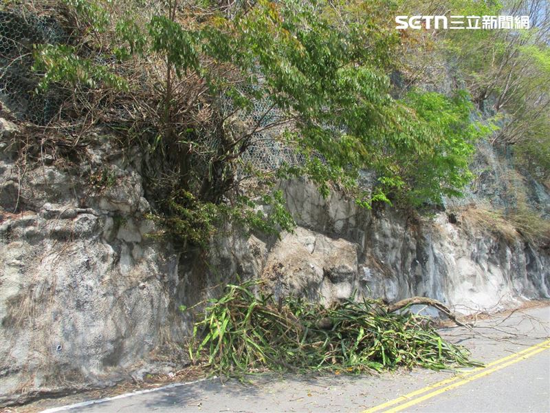 路邊一棵大樹突然倒塌,直接砸中車輛前擋風玻璃,造成玻璃當場碎裂。(圖/翻攝畫面)