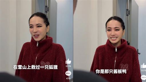 雪山狐狸梗紅到蔡依林也玩！一開口就破功