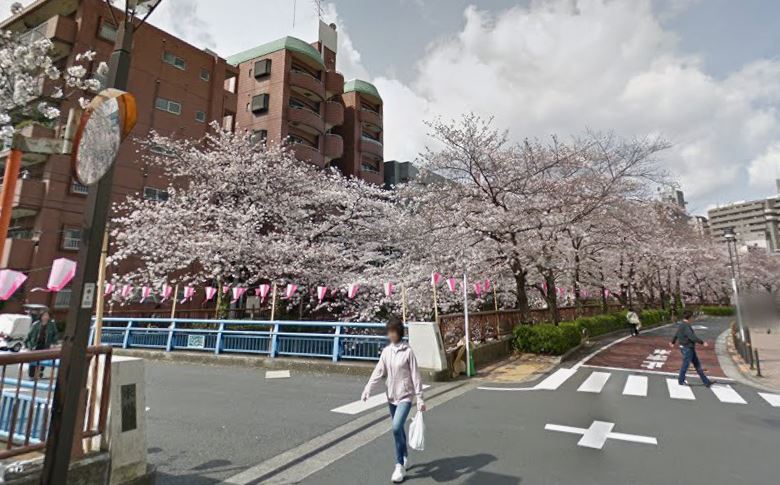 目黑川的櫻花從鮮為人知到滿滿旅客，讓不少在地人抱怨。（圖／翻攝自Google街景）