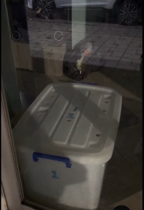 民眾質疑為何將狗關在非動物專用的收納箱，店員竟拋出令人咋舌的辯解！店員聲稱是因為「晚上比較熱」，才將狗移至箱內。（圖／民眾提供）