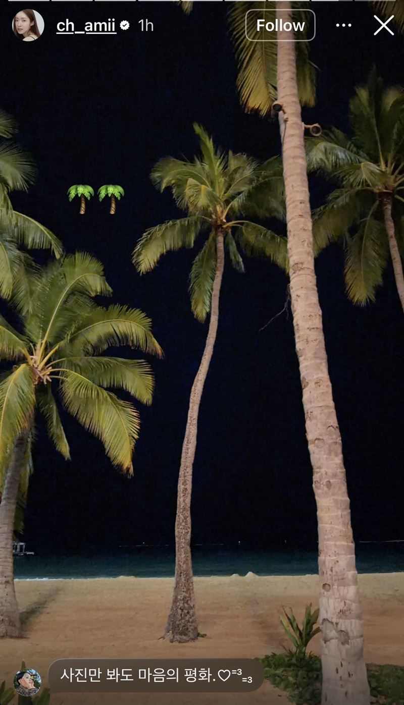 韓國車貞媛日前才大方認愛影帝河正宇，如今被爆出同遊夏威夷。（圖／翻攝自IG @ch_amii）