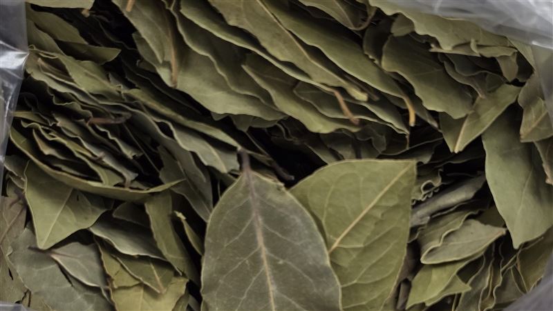 小磨坊「月桂葉」3農藥超標！3.2公噸退運