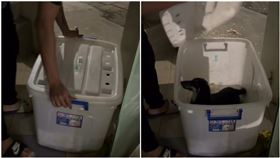 東森寵物,虐狗,收納箱,裝箱,撞門,致歉,台中（圖／民眾提供）