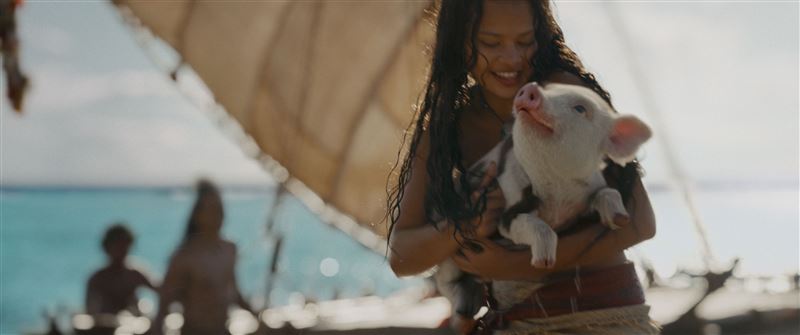 《海洋奇緣》真人版。（圖／迪士尼影業提供）