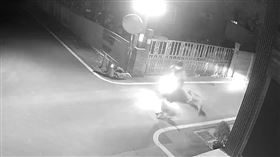 埤頭，阿嬤下田，遭3惡犬圍攻，上衣被咬碎，全身是傷，慘縫200針(圖／翻攝畫面)