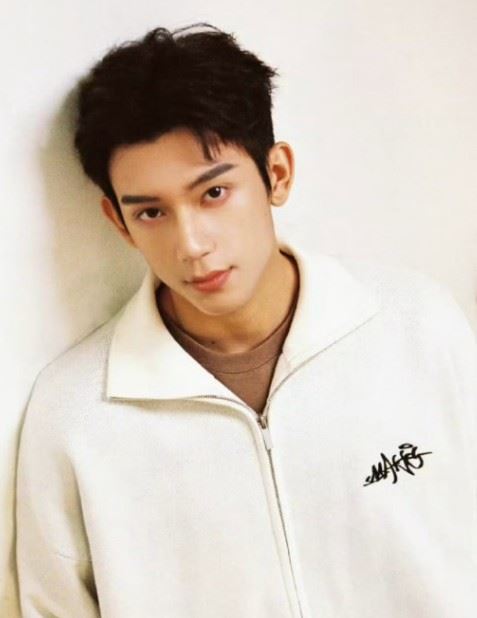 林沐然1歲即參演金婚，童星出身，曾演過《唐人街探案》與《盜墓筆記》角色少年時期。（圖／翻攝自微博）