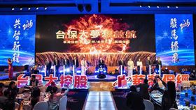 台保大,數位生態圈,產業整併